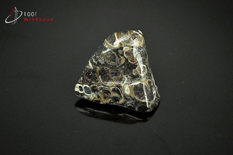 Agate turritelle polie du Brésil