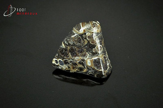 Agate turritelle polie du Brésil