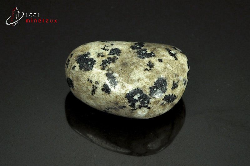 Minéral poli de jaspe dalmatien du Mexique