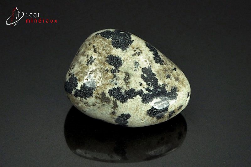 Minéral poli de jaspe dalmatien du Mexique