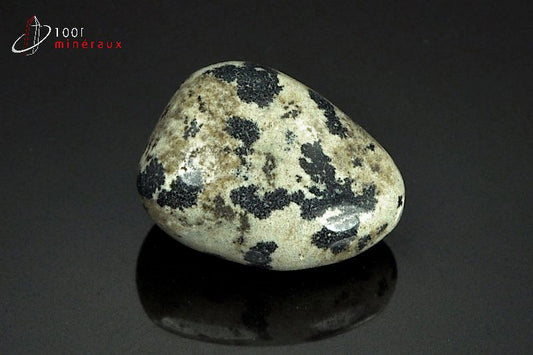 Minéral poli de jaspe dalmatien du Mexique