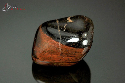 Minéral poli d'œil de taureau d'Afrique du sud