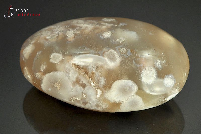 Galet minéral poli d'une agate fleurs blanche pour la lithothérapie de Madagascar
