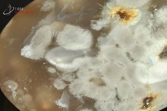 Galet minéral poli d'une agate fleurs blanche pour la lithothérapie de Madagascar