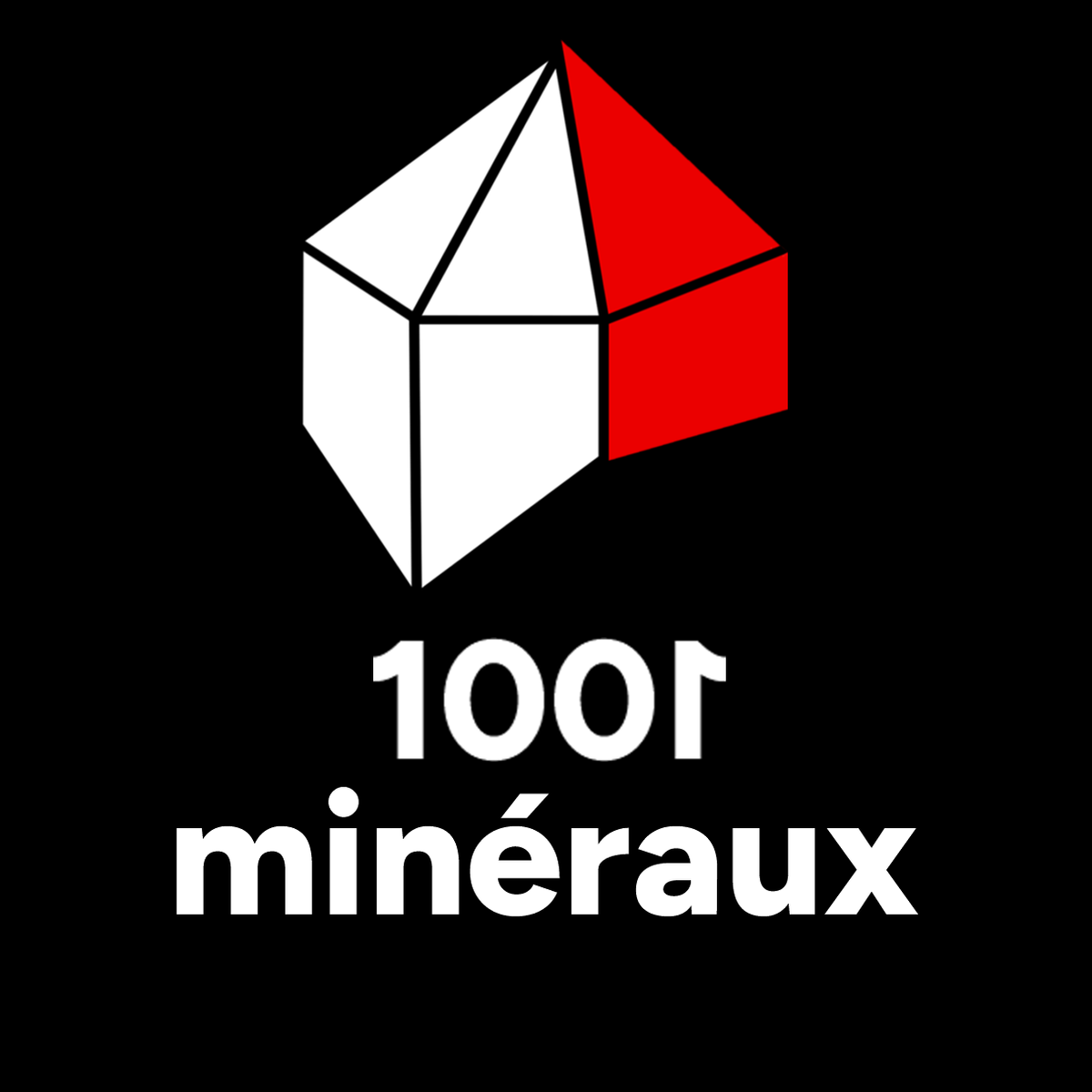 Logo 1001 minéraux - Boutique de minéraux et pierres naturelles
