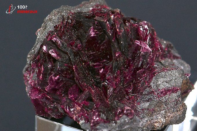 erythrine_mineraux_cristaux