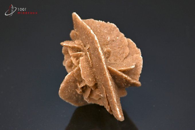 rose des sables mineraux