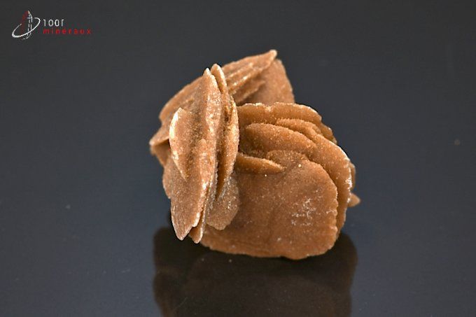 rose des sables mineraux