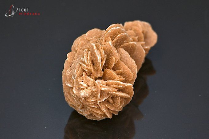 rose des sables mineraux