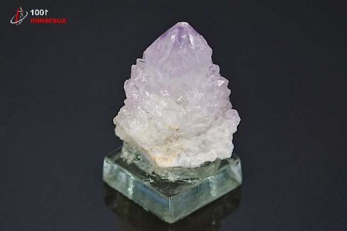 amethyste_cactus_mineraux