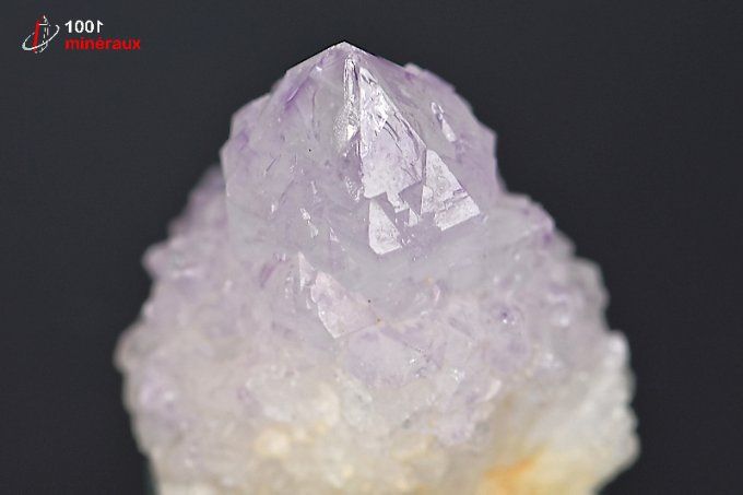 amethyste_cactus_mineraux