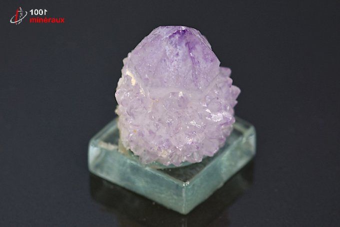 amethyste_cactus_mineraux