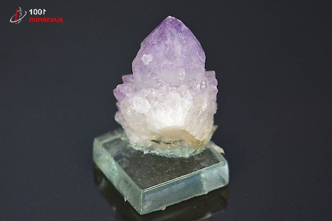 amethyste_cactus_mineraux