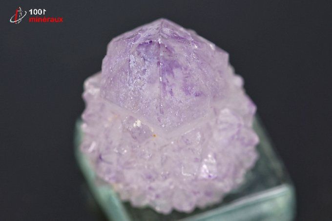 amethyste_cactus_mineraux