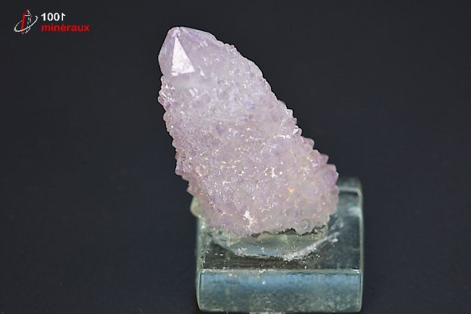 amethyste_cactus_mineraux