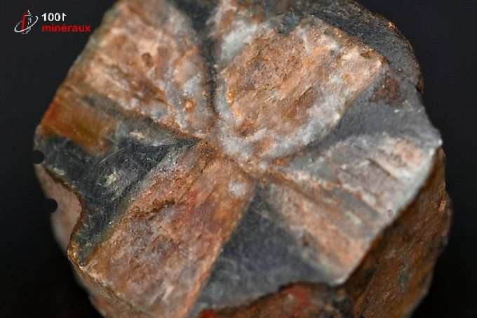 chiastolite_mineraux