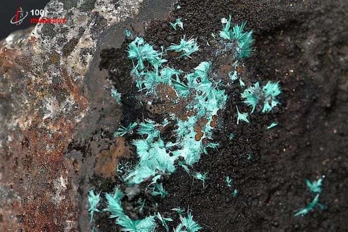 aurichalcite_mineraux