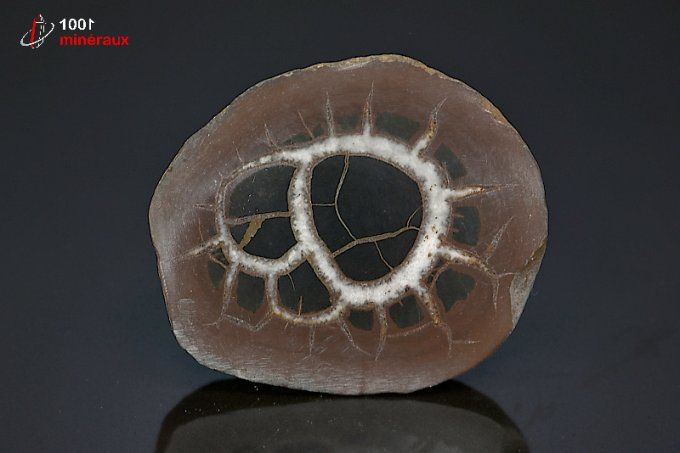 septaria_mineraux