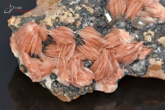 baryte-cerusite-mineraux-galene-cristaux