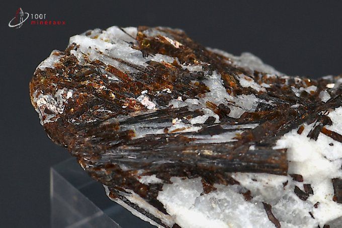 astrophyllite_mineraux_cristaux