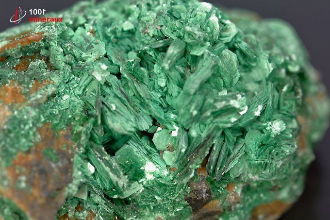 torbernite_mineraux