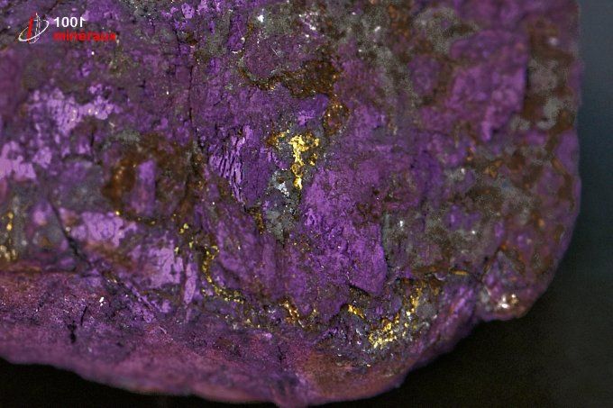 purpurite_mineraux