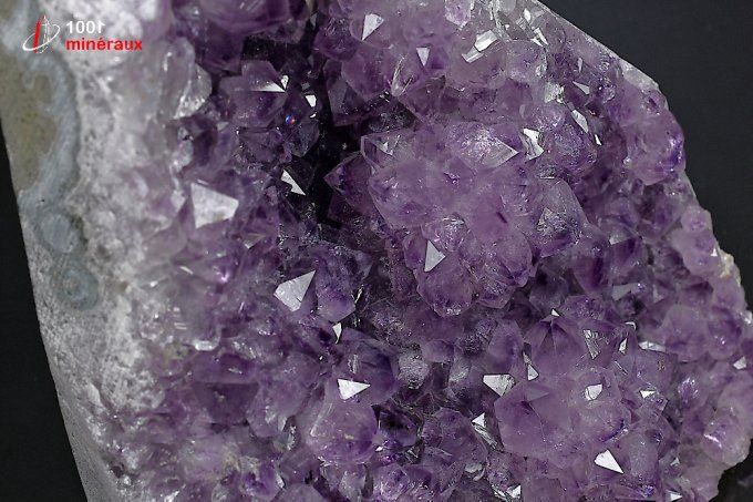 druse_amethyste_cristaux_mineraux