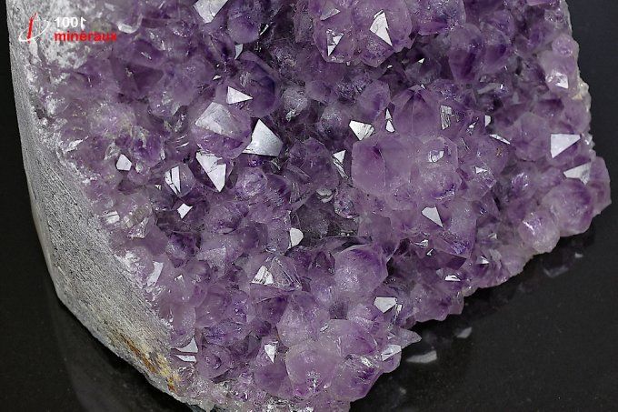 druse_amethyste_cristaux_mineraux