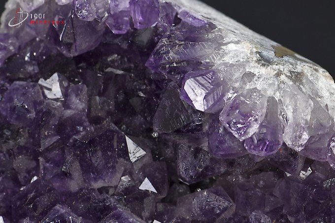 amethyste_druse_cristaux_mineraux