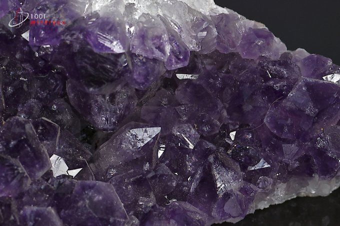 amethyste_druse_cristaux_mineraux