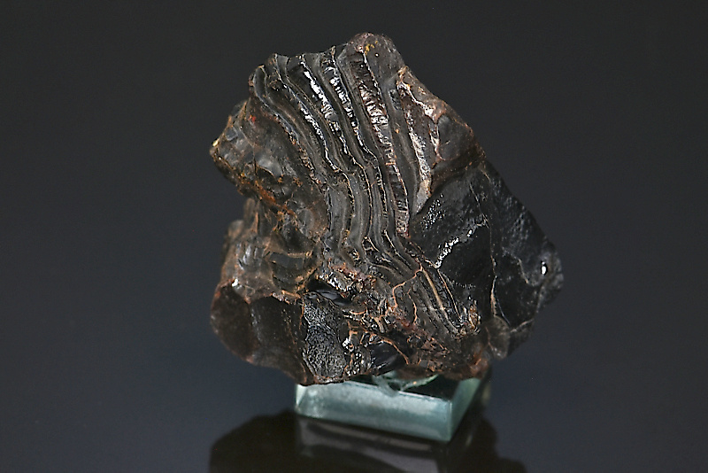 Hématite mamelonnée